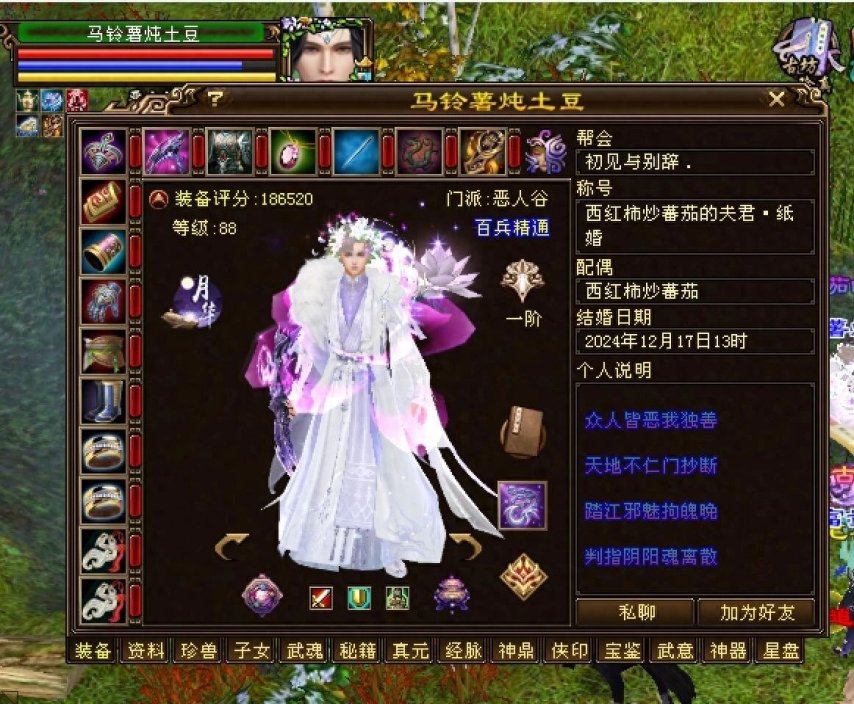 快速升级与高爆率带来的游戏体验 